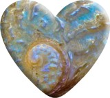 Conch pattern Love pattern Heart Photo Resin snap button charms   fit 18mm snap jewelry