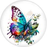 20MM color  Butterfly Print glass snap button charms