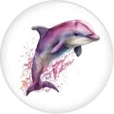 20MM Pretty dolphin Print glass snap button charms