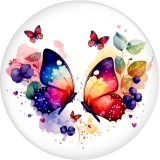20MM color  Butterfly Print glass snap button charms