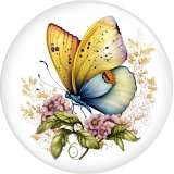 20MM color  Butterfly Print glass snap button charms