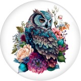 20MM Flower color owl  Print glass snap button charms