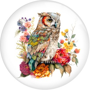 20MM Flower color owl  Print glass snap button charms