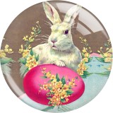 20MM  happy easter rabbit Print glass snap button charms