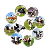 20MM cow  Print glass snap button charms