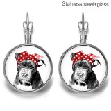 Dog  Stainless steel 20mm glass French style ear hook and earrings