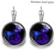 Zodiac Stainless steel 20mm glass French style ear hook and earrings