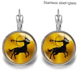 Zodiac Stainless steel 20mm glass French style ear hook and earrings