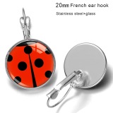 Zodiac Stainless steel 20mm glass French style ear hook and earrings