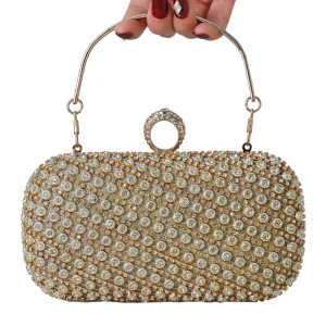 Dinner bag, handbag, diamond inlaid dress, evening bag