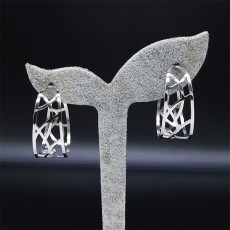 stainless steel  earrings