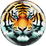20MM tiger Print glass snap button charms