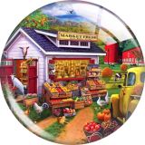 20MM Colorful grocery store Print glass snap button charms