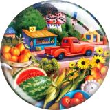 20MM Colorful grocery store Print glass snap button charms