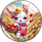 20MM rabbit Print glass snap button charms