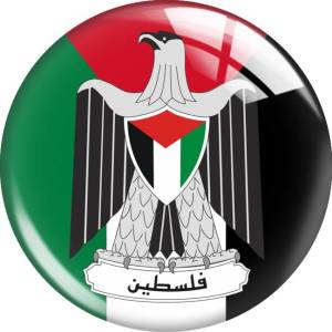 20MM free palestine Print glass snap button charms