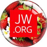 20MM JW.ORG glass snap button charms