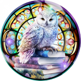 20MM 10Pcs/lot owl Print glass snap button charms