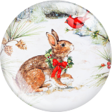 20MM 10Pcs/lot Christmas Print glass snap button charms