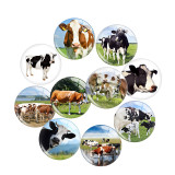 20MM 10pcs/lot cow  Print glass snap button charms