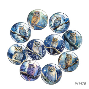 20MM 10pcs/lot owl glass snap button charms
