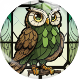 20MM 10Pcs/lot owl Print glass snap button charms
