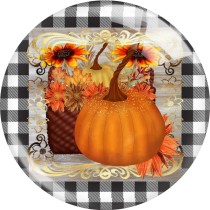 20MM 10Pcs/lot Thanksgiving  Print glass snaps buttons  DIY jewelry