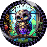 20MM 10Pcs/lot owl Print glass snap button charms