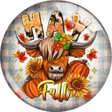 20MM 10Pcs/lot Thanksgiving  Print glass snaps buttons  DIY jewelry