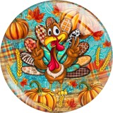 20MM 10Pcs/lot Thanksgiving  Print glass snaps buttons  DIY jewelry