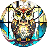 20MM 10Pcs/lot owl Print glass snap button charms