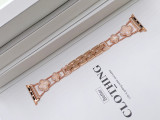 Clover Apple Watch Strap New Style Suitable for IWatch 1-10 Full Series