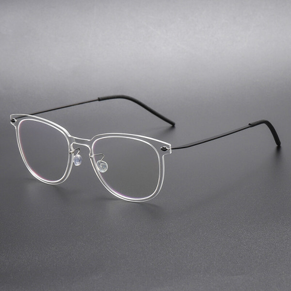 Acetate/Titanium Glasses 6549 - Medium Size
