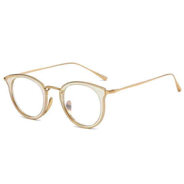Titanium Eyeglasses LE0366