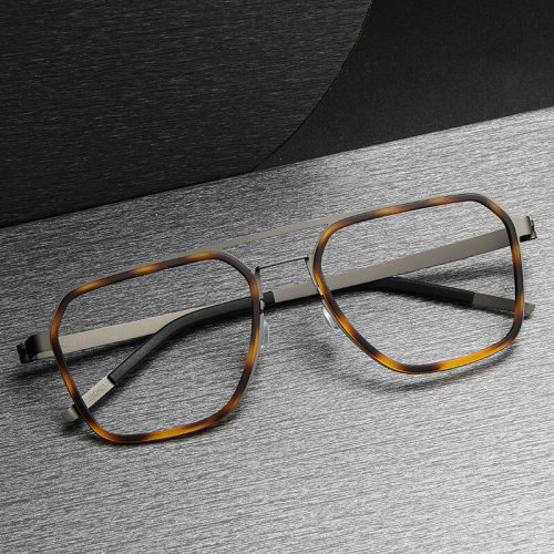 Titanium & TR Eyeglasses LE0253