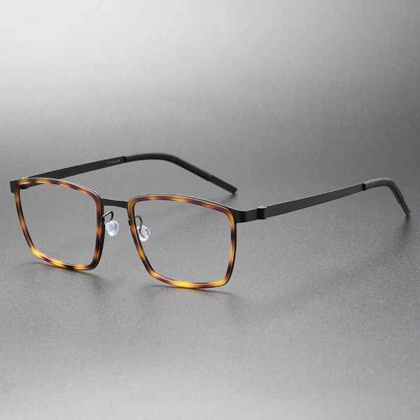 Titanium & TR Eyeglasses LE0246