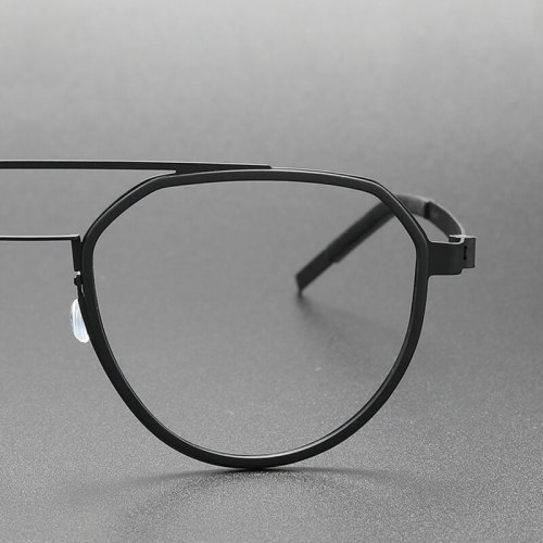 Titanium & TR Eyeglasses LE0251