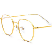 Pure Titanium Eyeglasses LE0542