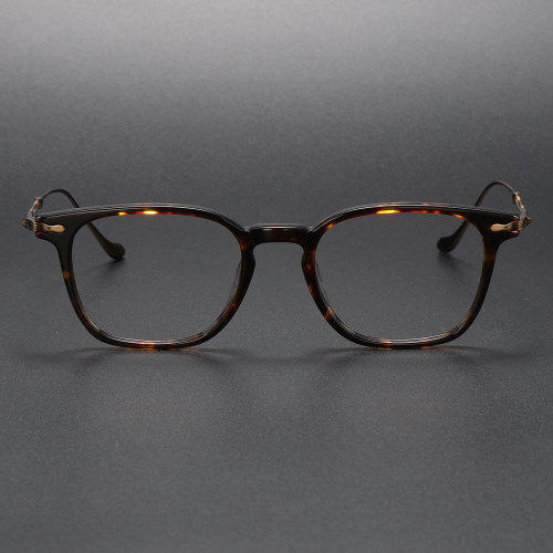 LE0396 Photochromic Glasses - Sophisticated Gray Acetate Meets Silver Titanium