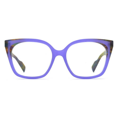 Purple Eyeglass Frames - LE3027 Frosted Purple Acetate Square Glasses with Colorful Temples