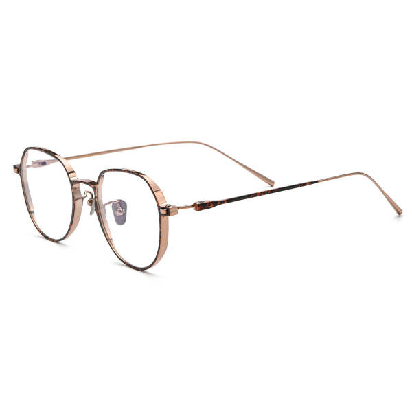 Square Prescription Glasses LE3049 - TortoiseShell & Gold Titanium Frames for Men and Women