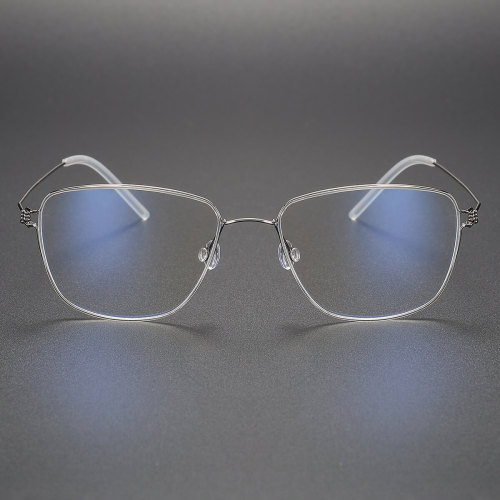 Geometric Titanium Glasses LE1185_Silver