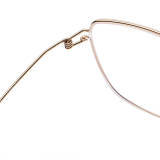 Geometric Titanium Glasses LE1185_Gold