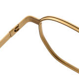 Geometric Titanium Glasses LE1127_Gold
