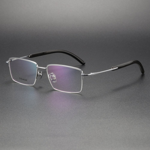 Horn & Titanium Eyeglasses LE1042_Silver