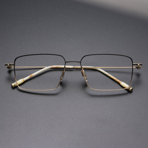 Square Titanium Eyeglasses LE1015_Black - Gold