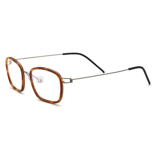 Acetate & Metal Eyeglasses LE0662_Tortoise Shell
