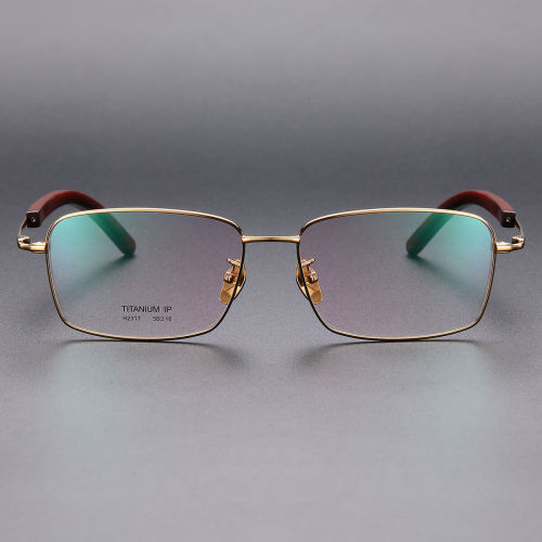 Titanium Eyeglasses LE1018_Gold