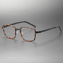Titanium & TR Eyeglasses LE0254_Tortoise & Black