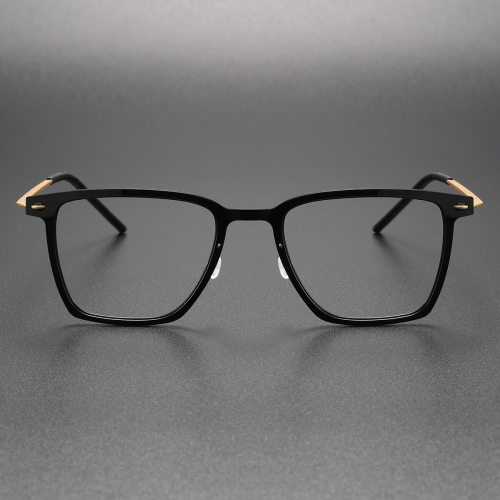 Titanium & Nylon Eyeglasses LE0126_Black & Gold